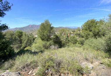 Hiszpania, Alhaurin el Grande