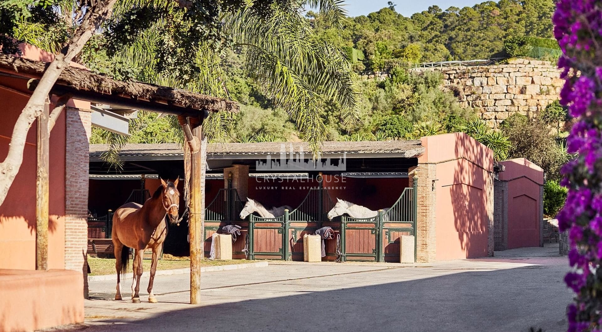 Hiszpania, Benahavis, Marbella Club Golf Resort
