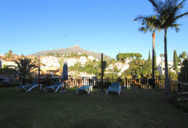 Spain, Marbella, Nueva Andalucia