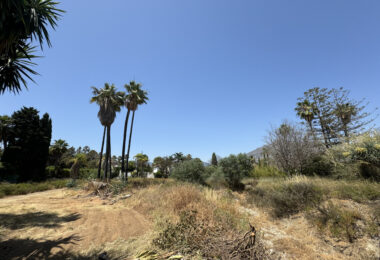 Exclusive Prime Plot for Sale in Atalaya de Rio Verde