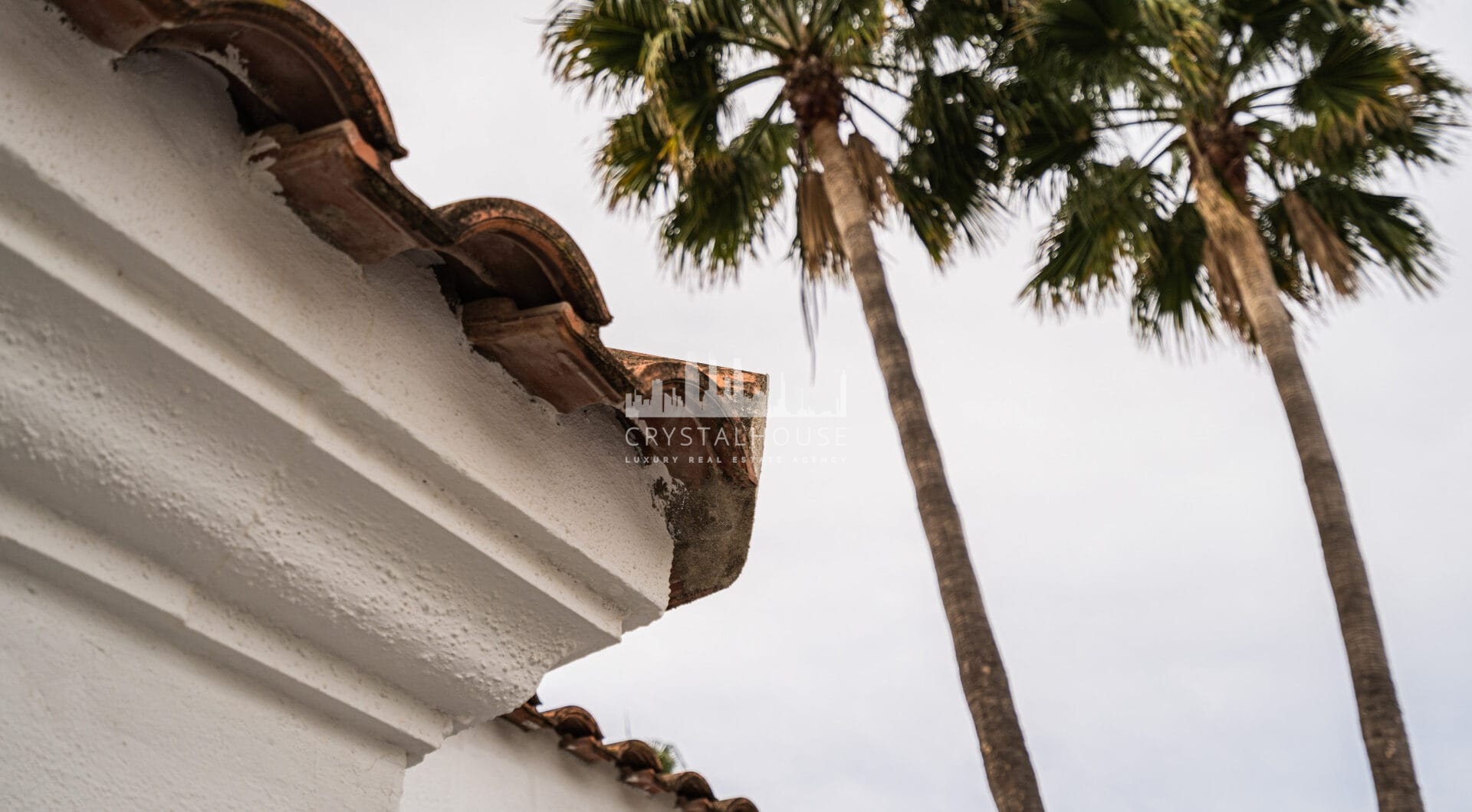 Investment villa in El Rosario - walking distance to everything!