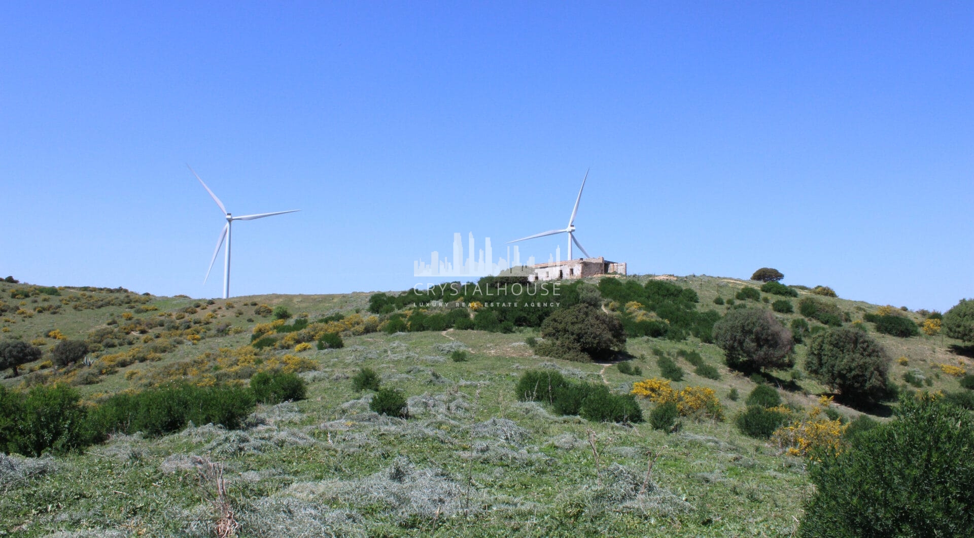 Finca for sale in San Martin del Tesorillo