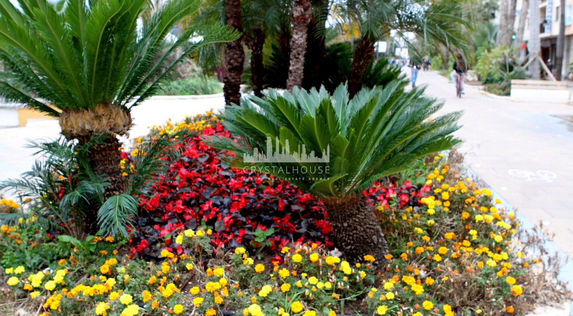 Private garage for sale on the Paseo Marítimo of Estepona!