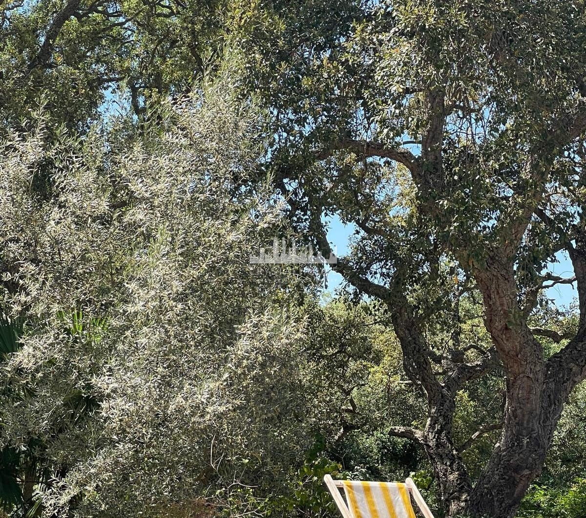 Charming West-Facing Villa in Zona C, Sotogrande Alto
