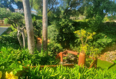 Spain, Sotogrande, Sotogrande Alto