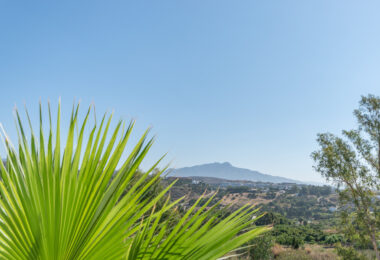 Apartment, terrace, swimming pool, golf, 2 bedrooms, Estepona, La Resina, Selwo.