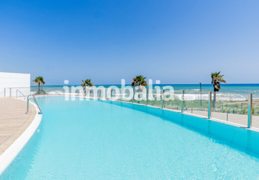 Luxurious beachfront apartment with private garden