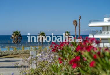 Luxurious beachfront apartment with private garden