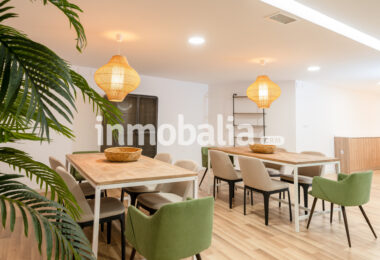 Luxurious beachfront apartment with private garden