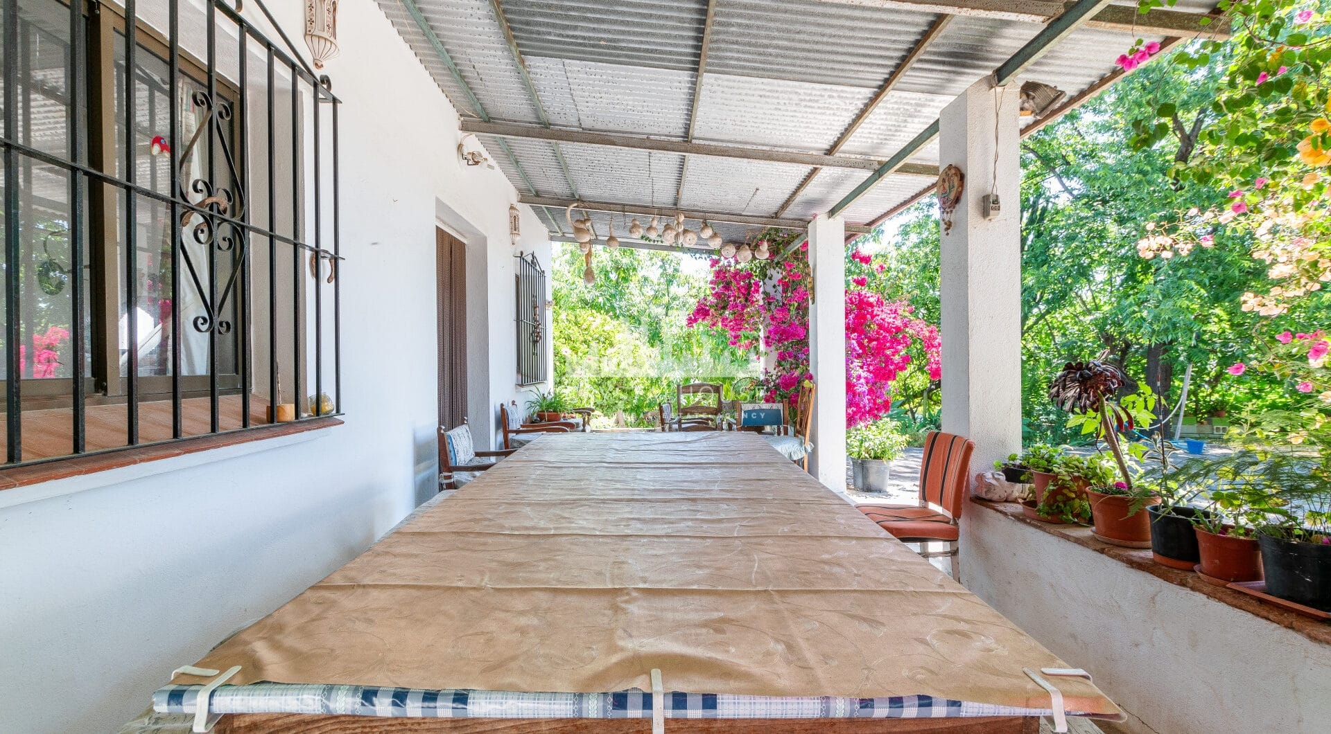 Charming Finca with a beautiful garden