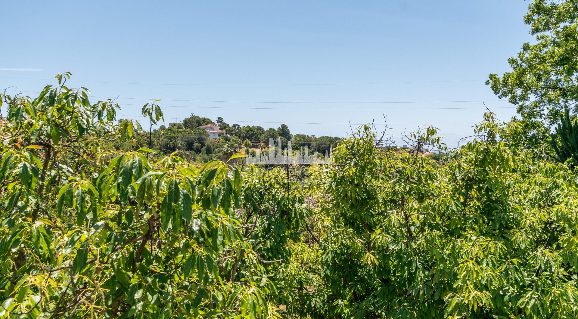 Charming Finca with a beautiful garden