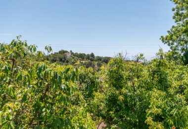 Charming Finca with a beautiful garden