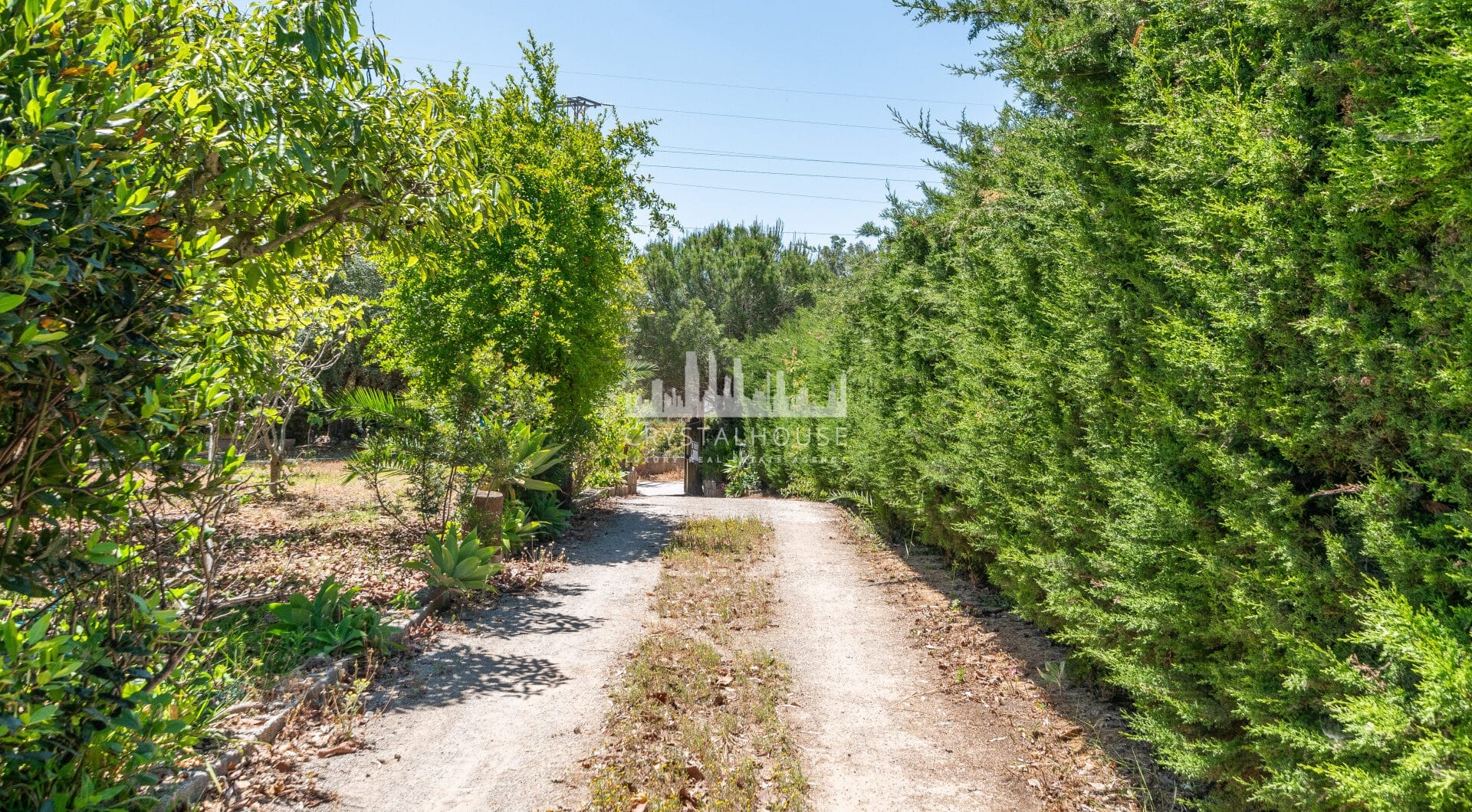 Charming Finca with a beautiful garden