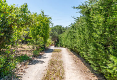 Charming Finca with a beautiful garden