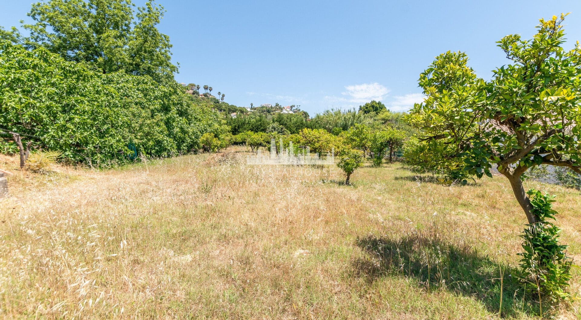 Charming Finca with a beautiful garden
