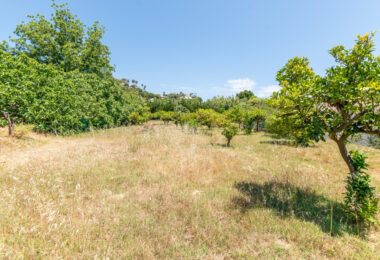 Charming Finca with a beautiful garden