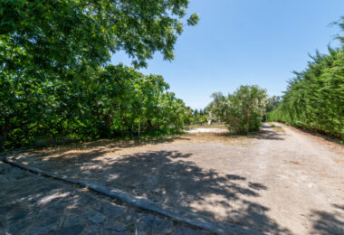 Charming Finca with a beautiful garden