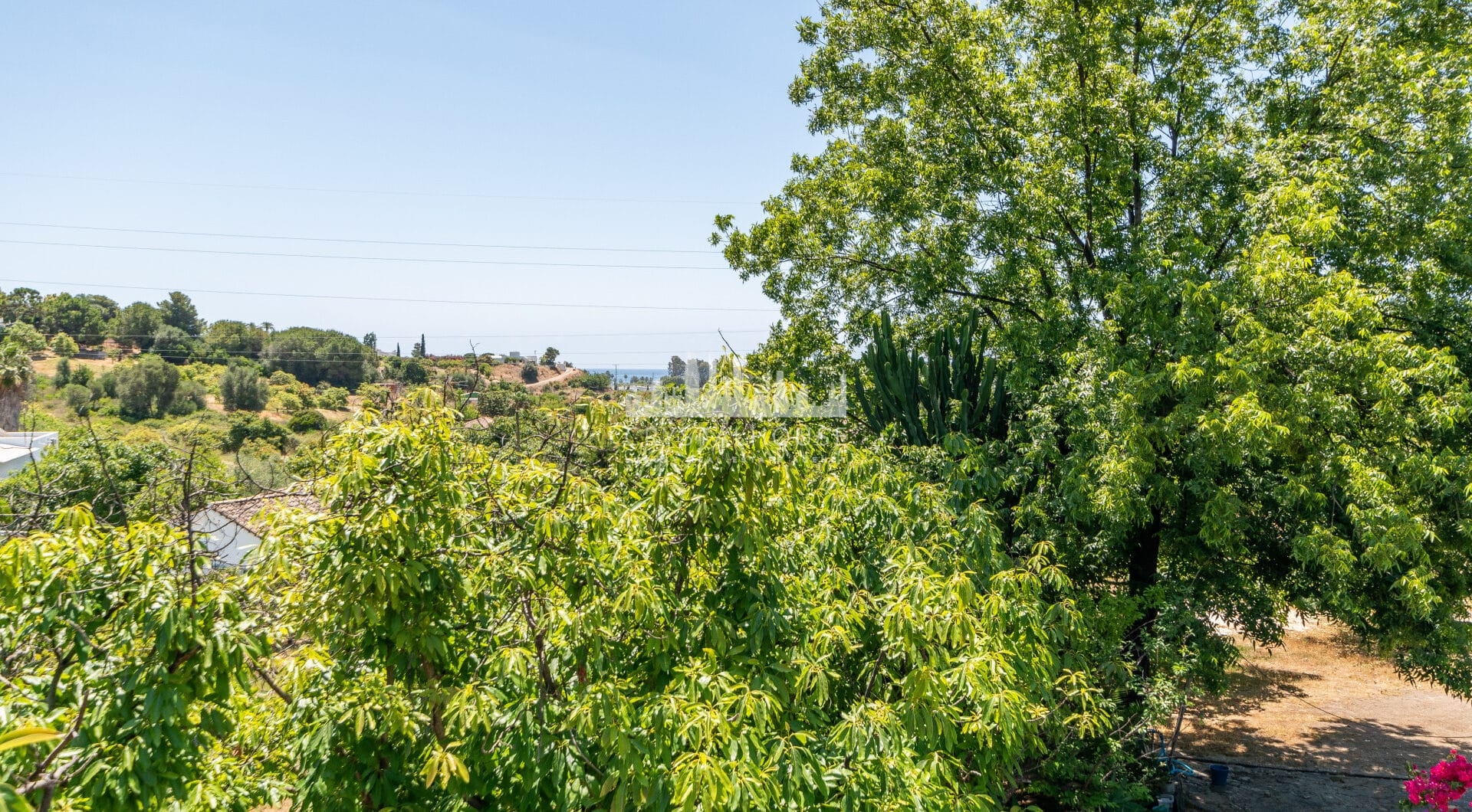 Charming Finca with a beautiful garden