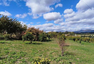 Beautiful, large country villa with beautiful sea views