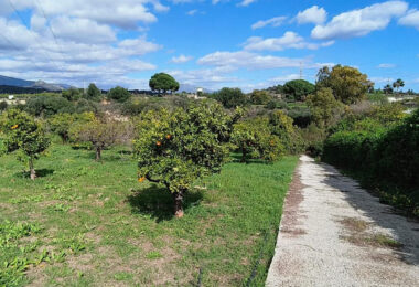 Beautiful, large country villa with beautiful sea views