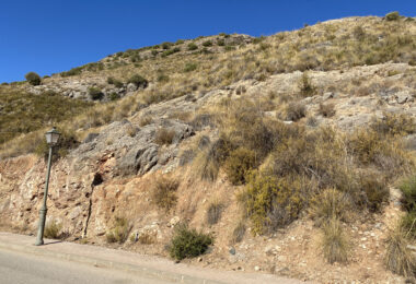 Urban plot for a single-family home in Sierra Gorda Coín (Malaga).