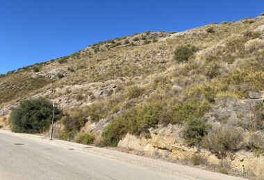 Urban plot for a single-family home in Sierra Gorda Coín (Malaga).