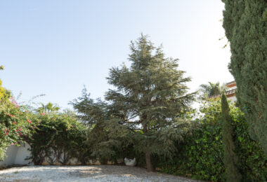 Traditional villa in Valdeolletas. Large house with a lot of potential