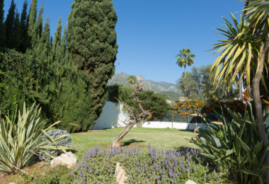Traditional villa in Valdeolletas. Large house with a lot of potential