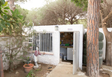 A pine and sea retreat in Las Chapas, Marbella