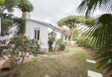 A pine and sea retreat in Las Chapas, Marbella