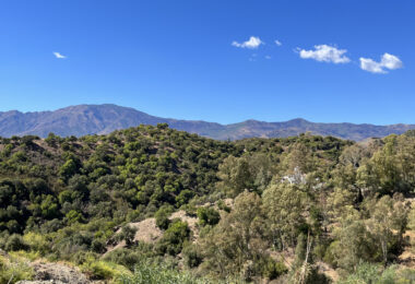 Plot for sale in Estepona Este