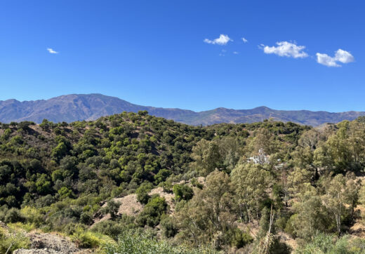 Plot for sale in Estepona Este