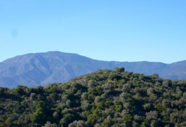 Plot for sale in Estepona Este