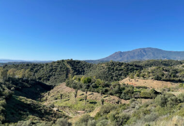 Plot for sale in Estepona Este
