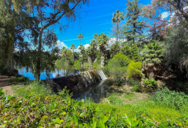 Apartment for Sale in Nueva Andalucia