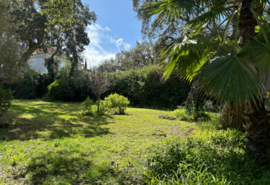 West-Facing Villa for Sale in Zona C, Sotogrande Alto