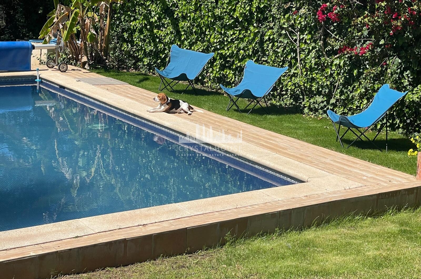 West-Facing Villa for Sale in Zona C, Sotogrande Alto