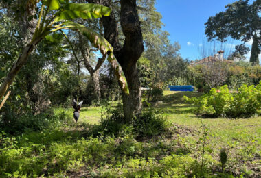 West-Facing Villa for Sale in Zona C, Sotogrande Alto