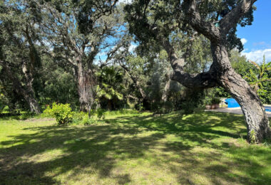 West-Facing Villa for Sale in Zona C, Sotogrande Alto