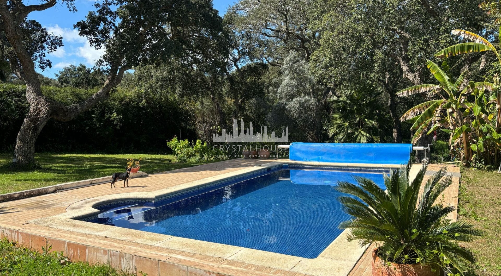 West-Facing Villa for Sale in Zona C, Sotogrande Alto