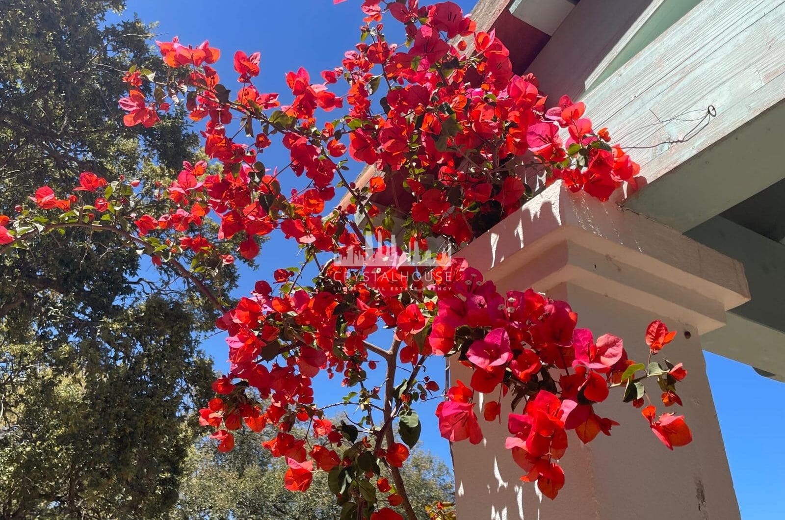 West-Facing Villa for Sale in Zona C, Sotogrande Alto