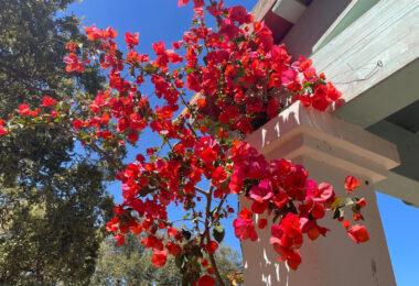 West-Facing Villa for Sale in Zona C, Sotogrande Alto