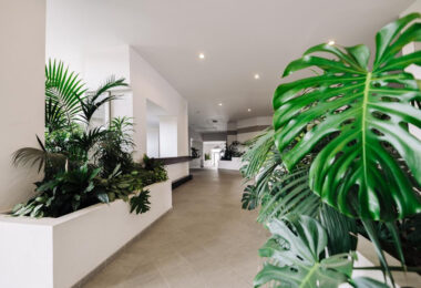 Apartment for rent in Nueva Andalucia, Marbella