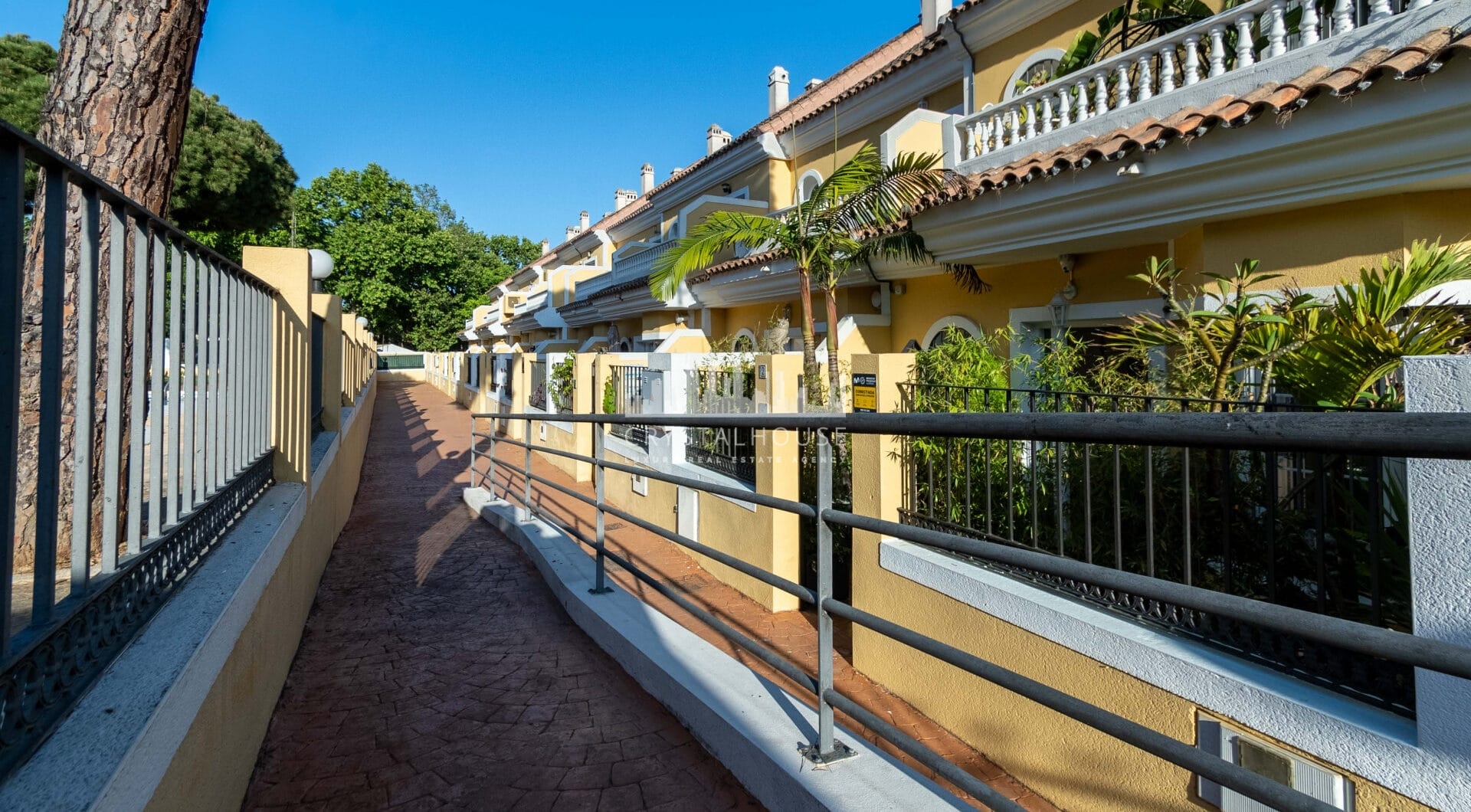 Modern South-Facing Townhouse with Premium Finishes – Move-In Ready
