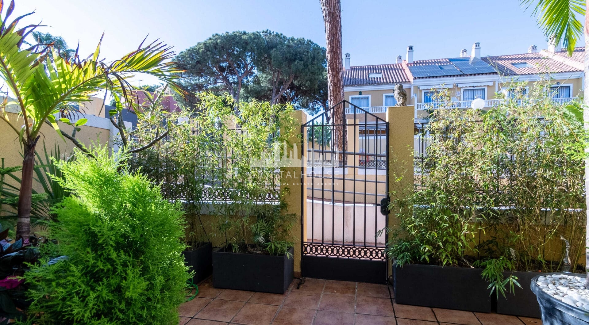 Modern South-Facing Townhouse with Premium Finishes – Move-In Ready