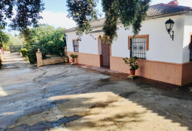 Wonderful Estate in the Serranía de Ronda.
