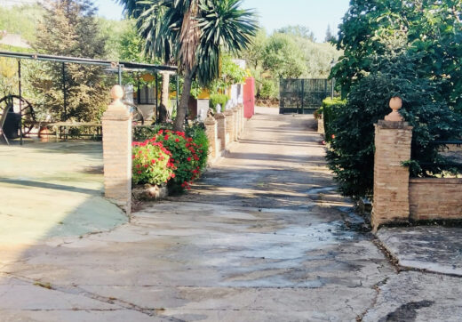 Wonderful Estate in the Serranía de Ronda.