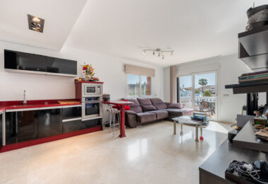 Elegant Villa in central San Pedro! With 3 separate apartments and garage for 10 cars.