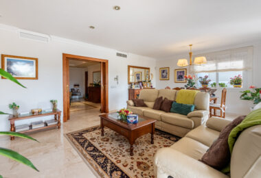 Elegant Villa in central San Pedro! With 3 separate apartments and garage for 10 cars.