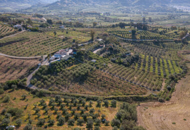Lovely family country property in Pizarra